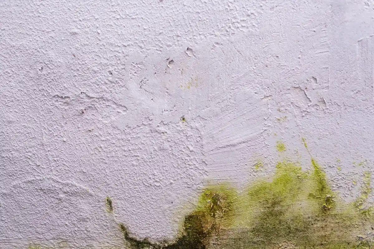 peeling paint wall repair Sweden home