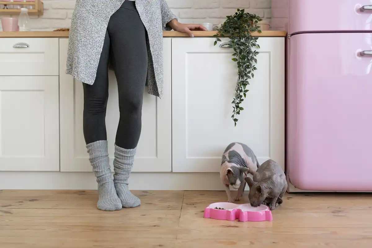 quick room tidy up Scandinavian apartment