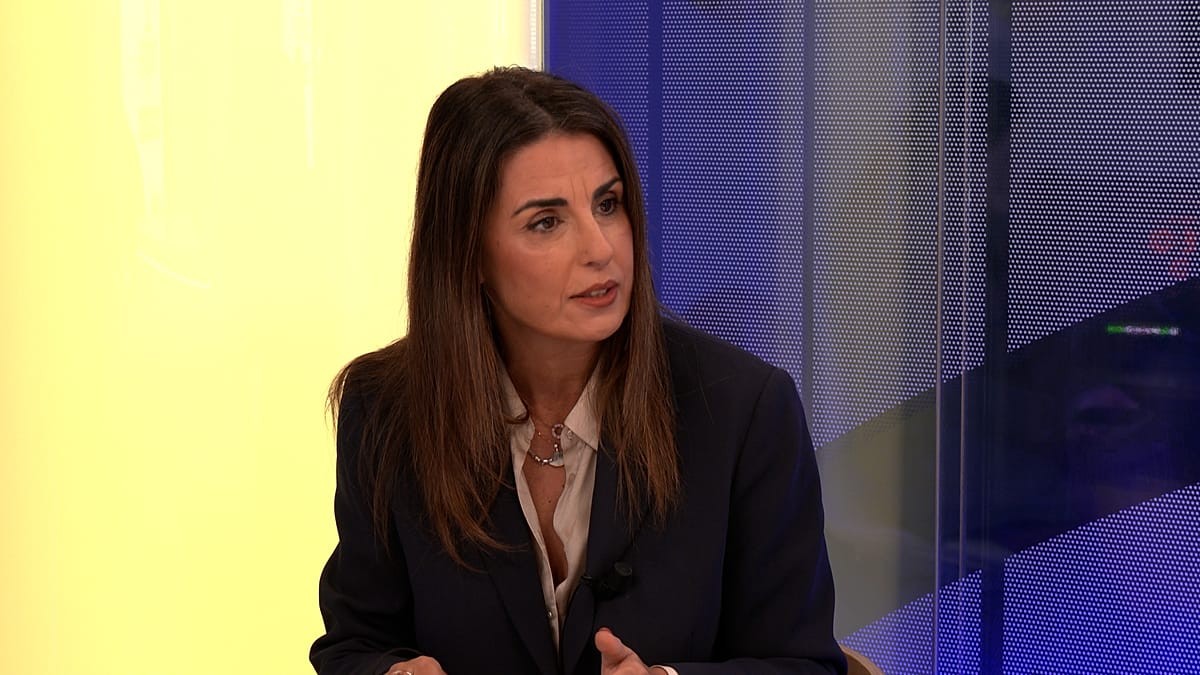 Europeiska ombudsmannen försvarar EU-kommissionens transparens trots kritik av hemlighetsmakeri