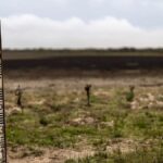 EU:s miljöprogram LIFE undergrävs: Otydliga resultat och hotad framtid