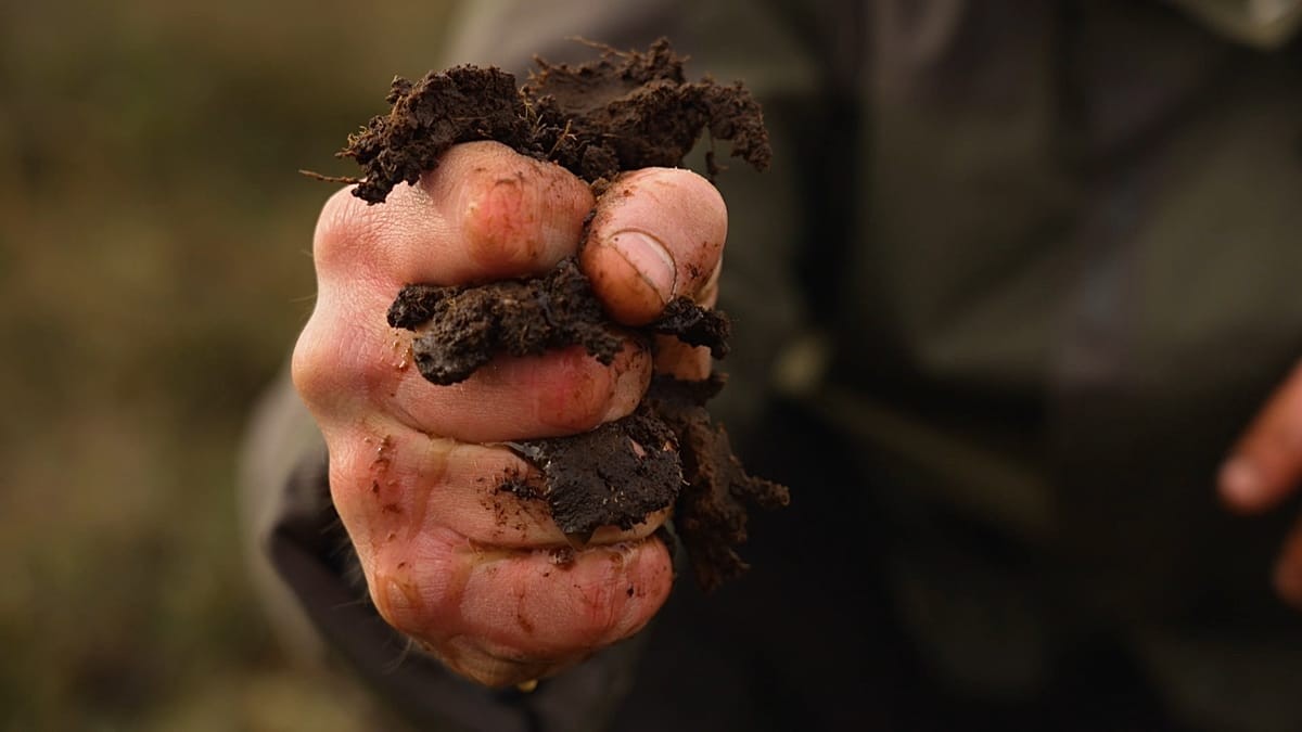 Odlingsmetoder för att omvandla irländska torvlandskap till hållbara resurser